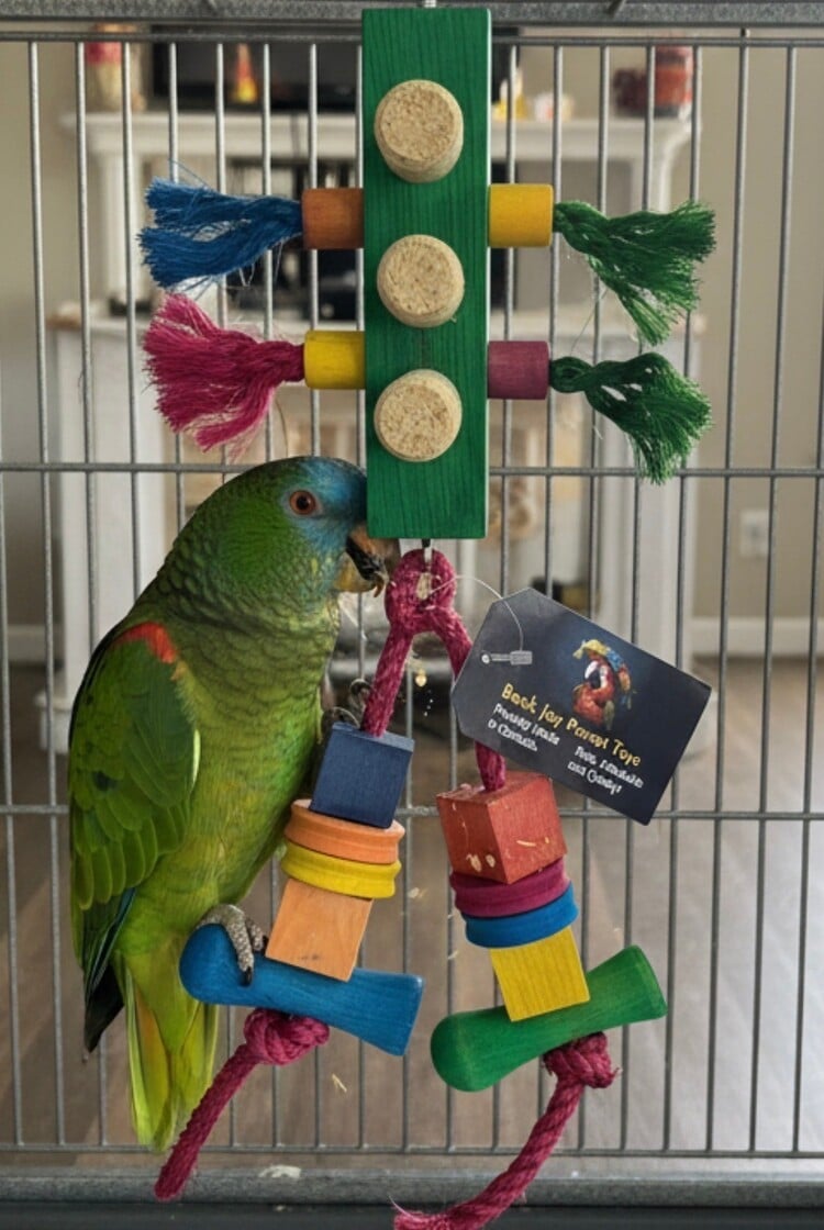 Beak Joy Parrot Toys TRAFFIC LIGHT CAGE MOUNT BIRD TOY 6X6 FOR SMALL TO MEDIUM PARROTS