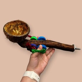 Beak Joy Parrot Toys NATURAL WOOD PERCH WITH HALF COCONUT CAGE MOUNT FOR MEDIUM PARROTS 12 X 5"