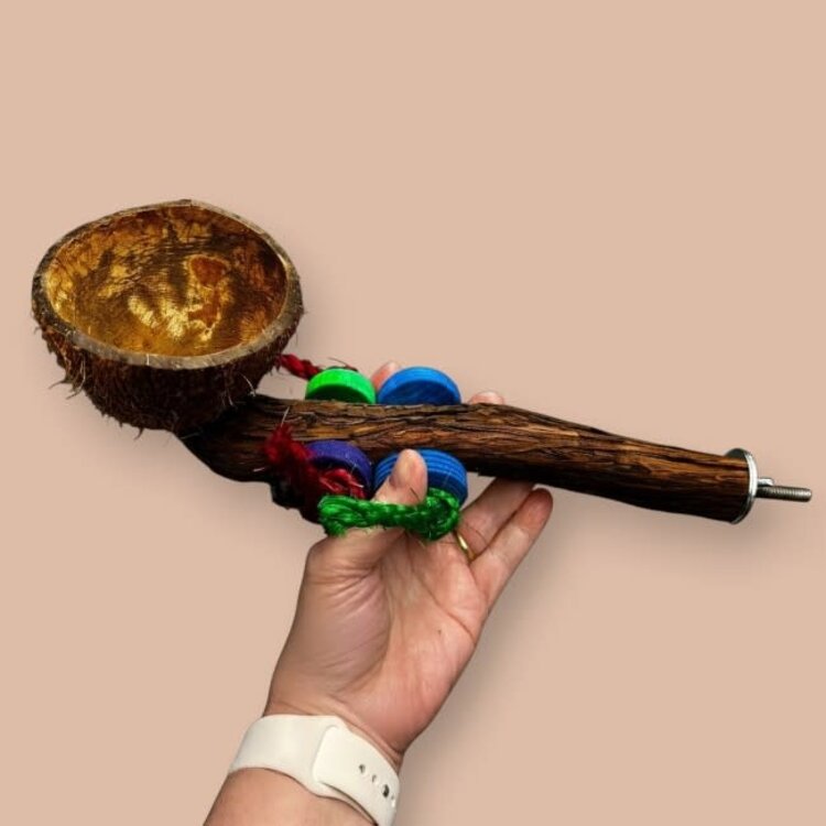 Beak Joy Parrot Toys Natural Wood Perch With Half Coconut Cage Mount Medium Parrots 12 x 5"