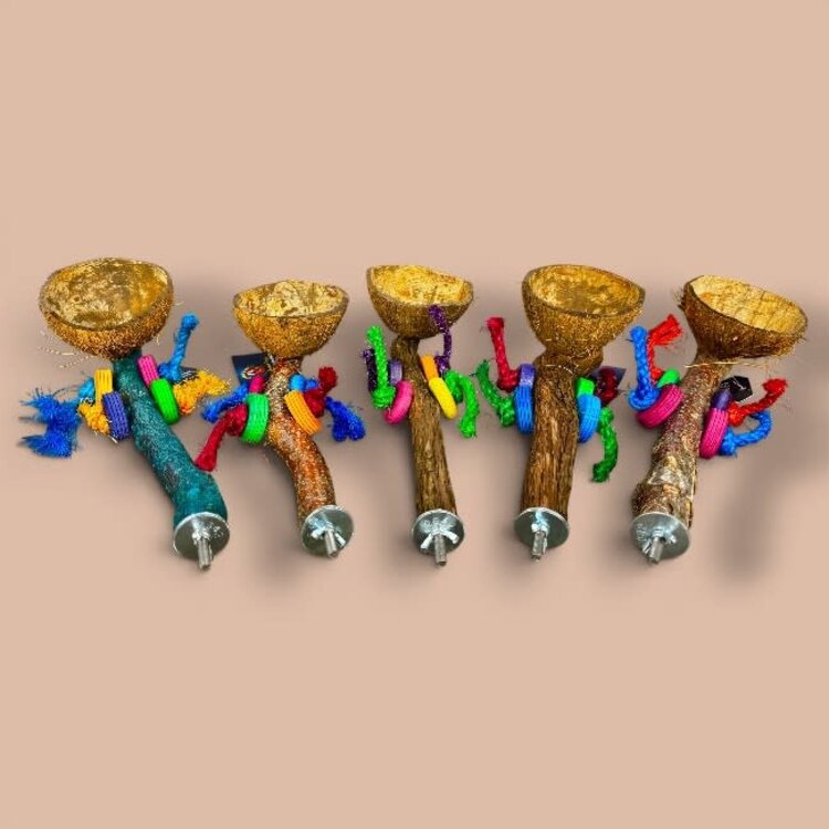 Beak Joy Parrot Toys Natural Wood Perch With Half Coconut Cage Mount Medium Parrots 12 x 5"