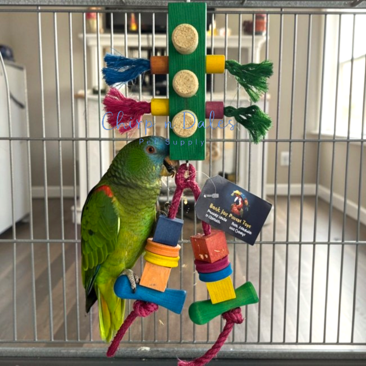 Beak Joy Parrot Toys TRAFFIC LIGHT CAGE MOUNT BIRD TOY 6X6 FOR SMALL TO MEDIUM PARROTS