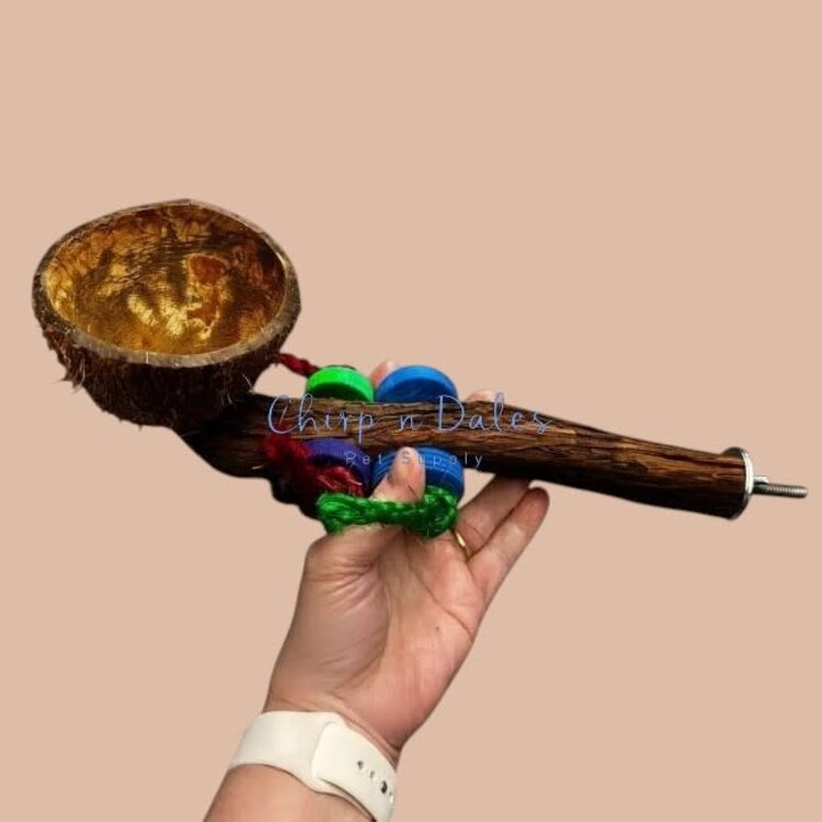 Beak Joy Parrot Toys Natural Wood Perch With Half Coconut Cage Mount Medium Parrots 12 x 5"