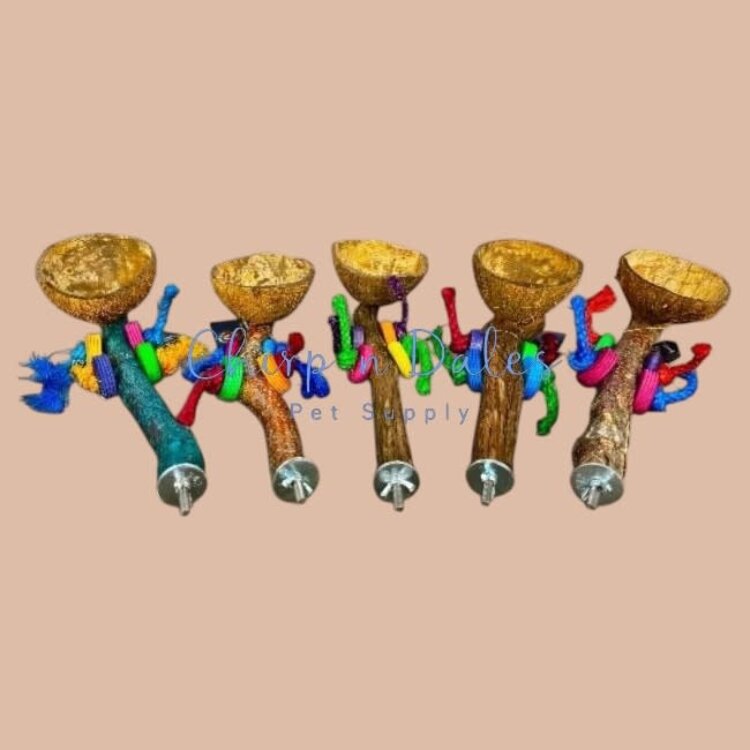 Beak Joy Parrot Toys Natural Wood Perch With Half Coconut Cage Mount Medium Parrots 12 x 5"