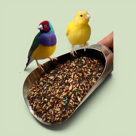 My Rewards MY REWARDS CANARY/FINCH SONG FOOD 3 OZ – DAILY NUTRITIONAL SUPPLEMENT FOR CANARIES & FINCHES