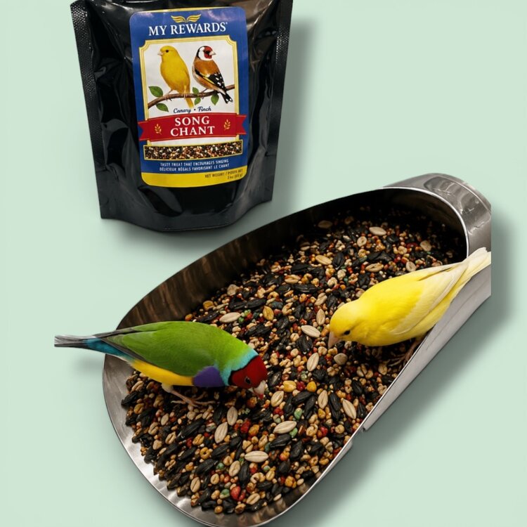 My Rewards My Rewards Canary/Finch Song Food 3 oz