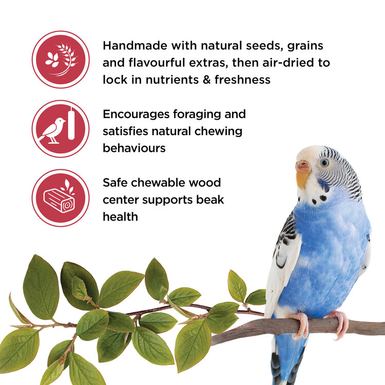 Living World LIVING WORLD BUDGIE TREAT STICKS FRUIT MELODY 90 G