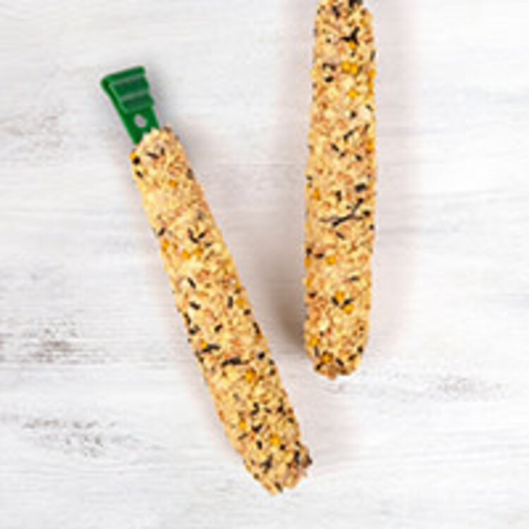 Living World LIVING WORLD BUDGIE TREAT STICKS – EGG – 80 G