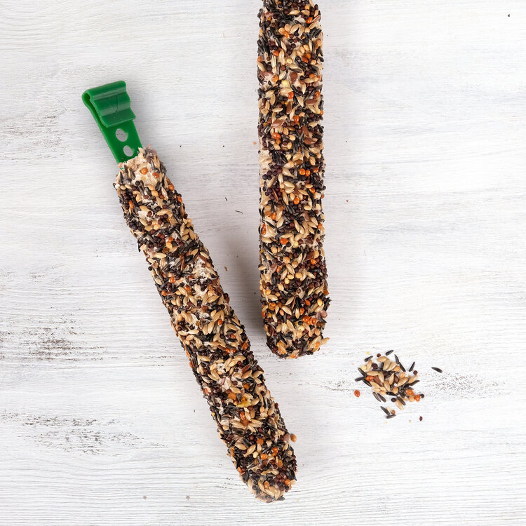 Living World LIVING WORLD CANARY TREAT STICKS – HONEY – 65 G