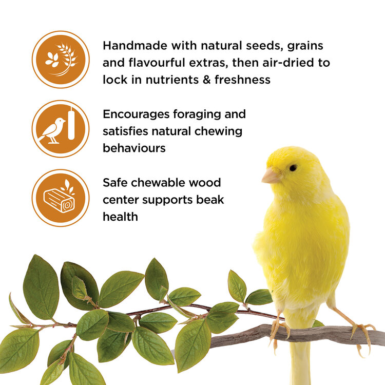 Living World LIVING WORLD CANARY TREAT STICKS – HONEY – 65 G