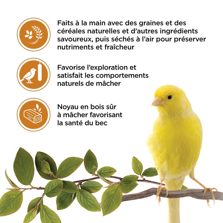 Living World LIVING WORLD CANARY TREAT STICKS – HONEY – 65 G