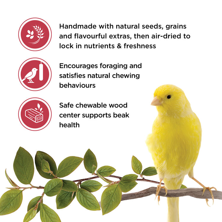 Living World LIVING WORLD STICKS FOR CANARIES – FRUIT – 60 G