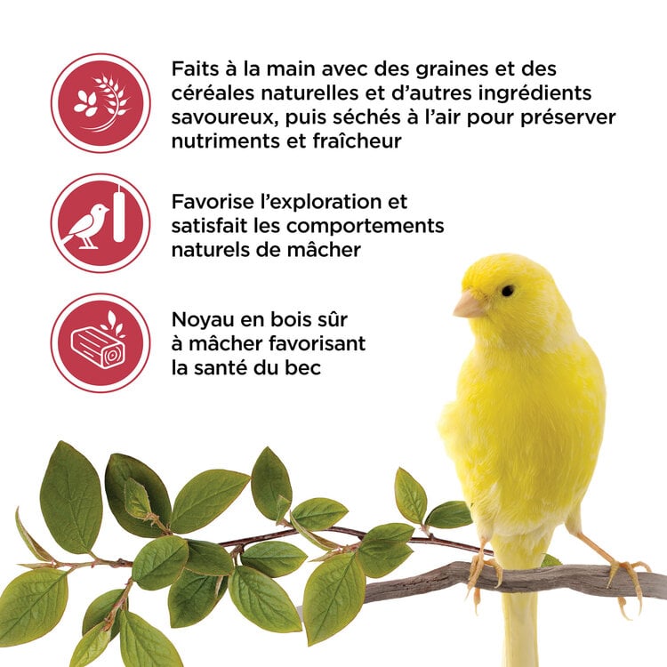 Living World LIVING WORLD STICKS FOR CANARIES – FRUIT – 60 G