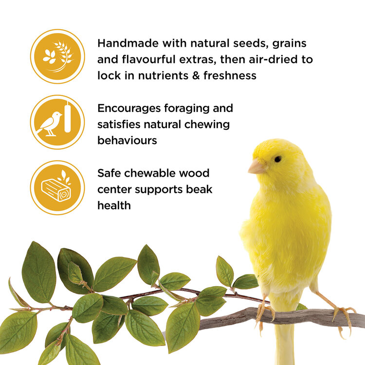 Living World LIVING WORLD STICKS FOR CANARIES – EGG – 50 G