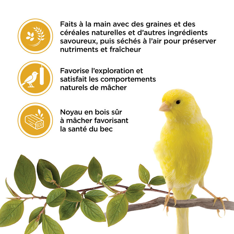 Living World LIVING WORLD STICKS FOR CANARIES – EGG – 50 G
