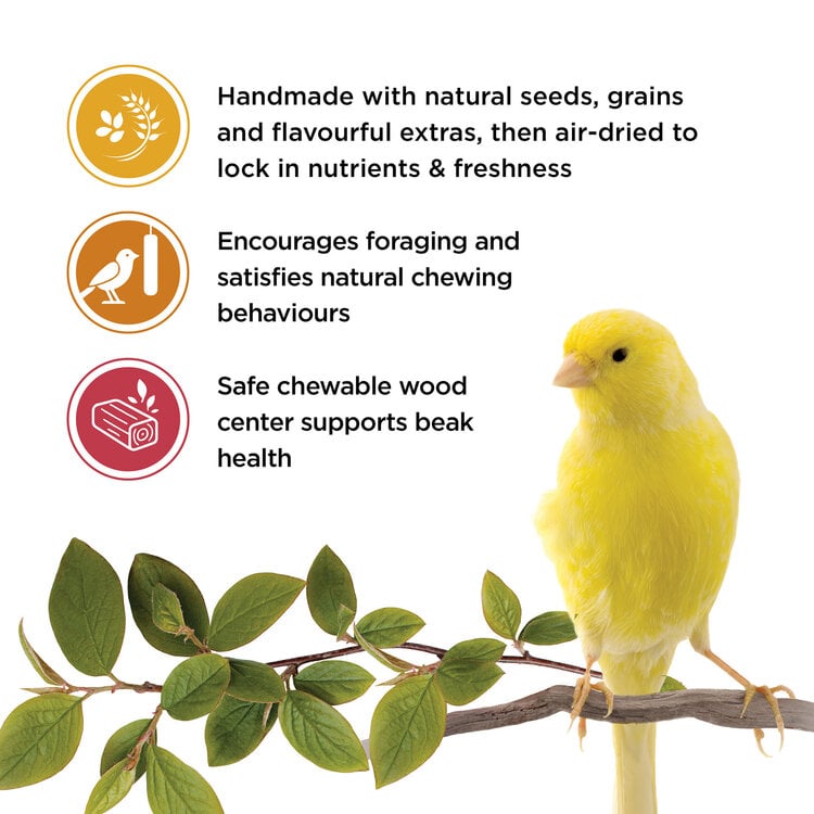 Living World LIVING WORLD STICKS FOR CANARIES – VARIETY PACK – 85 G