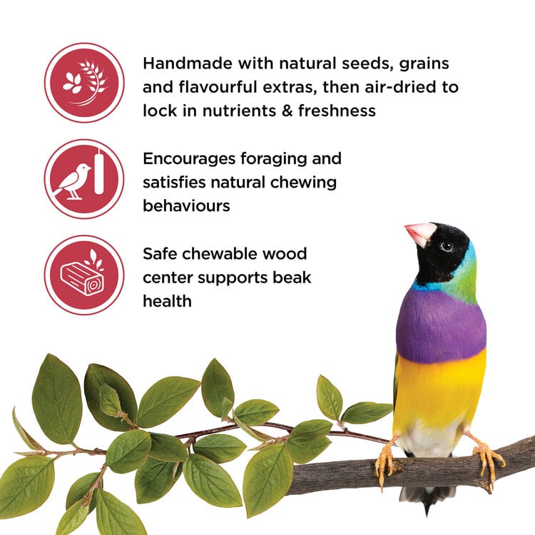 Living World LIVING WORLD STICKS FOR FINCHES – FRUIT – 60 G