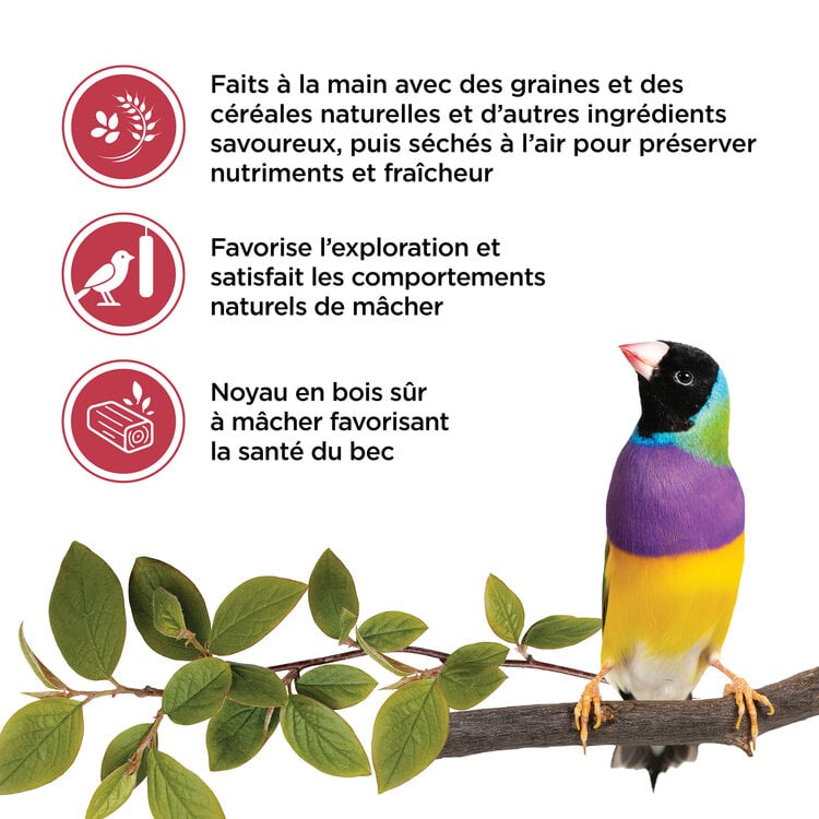 Living World LIVING WORLD STICKS FOR FINCHES – FRUIT – 60 G