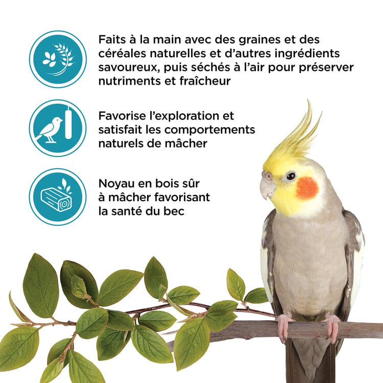 Living World LIVING WORLD STICKS FOR COCKATIELS – NUT – 90 G