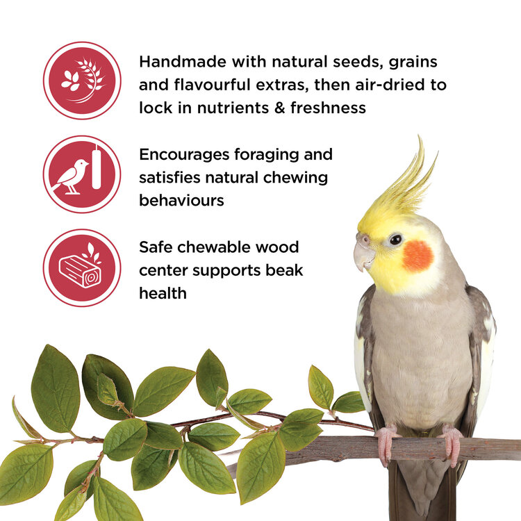 Living World LIVING WORLD STICKS FOR COCKATIELS – FRUIT – 90 G