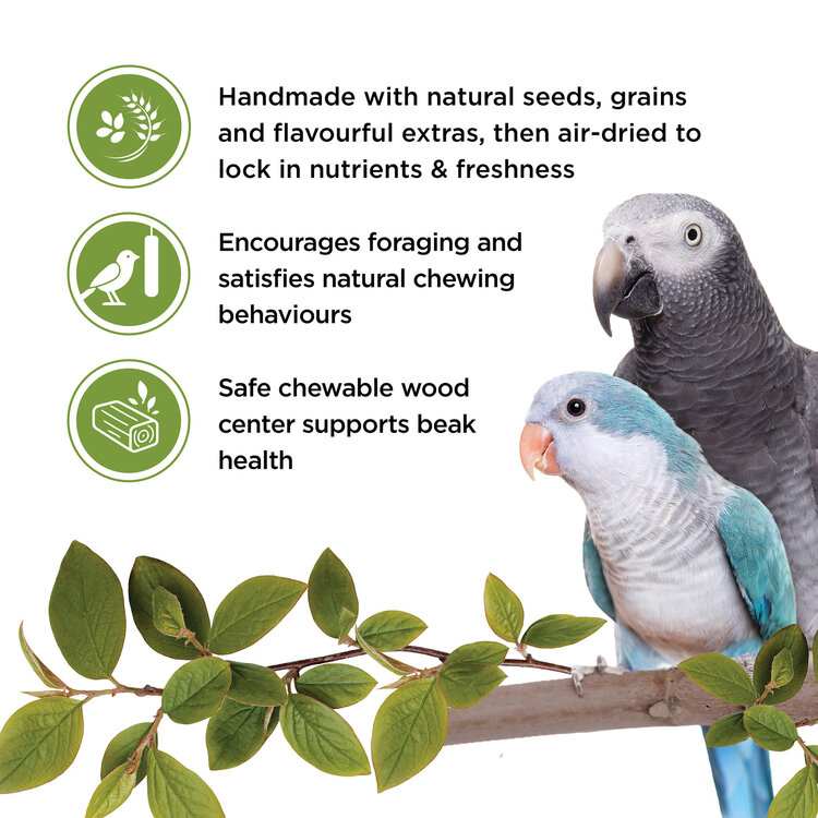 Living World LIVING WORLD PARROT TREAT STICKS – VEGETABLE – 90 G