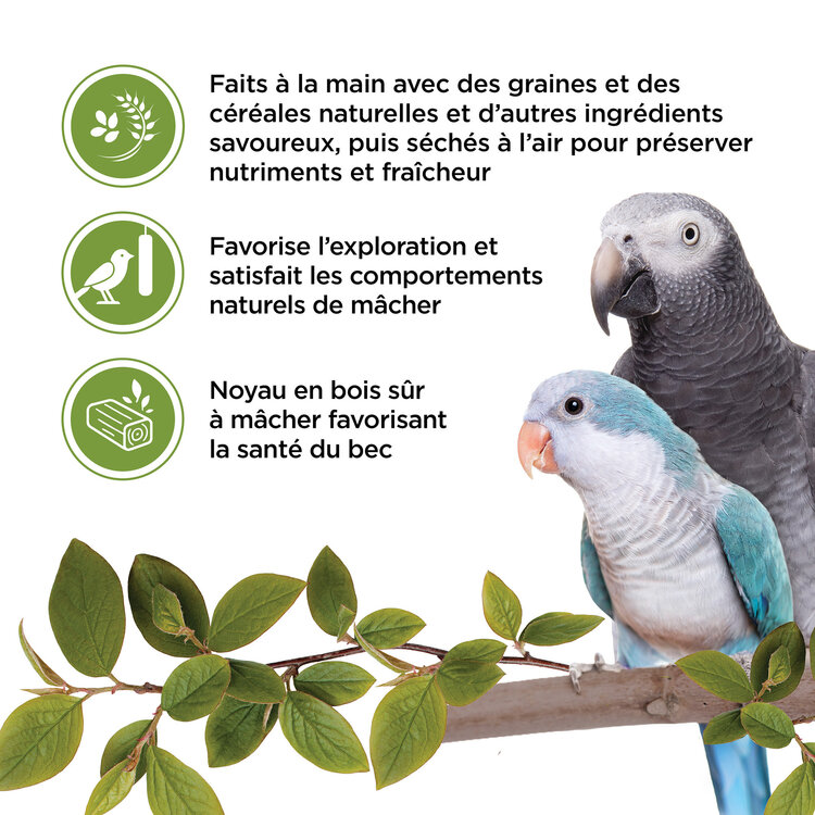 Living World LIVING WORLD PARROT TREAT STICKS – VEGETABLE – 90 G