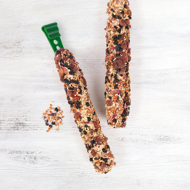 Living World LIVING WORLD PARROT TREAT STICKS – FRUIT – 100 G