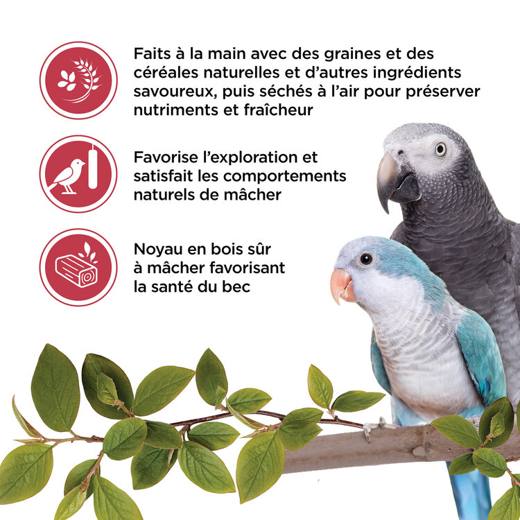 Living World LIVING WORLD PARROT TREAT STICKS – FRUIT – 100 G