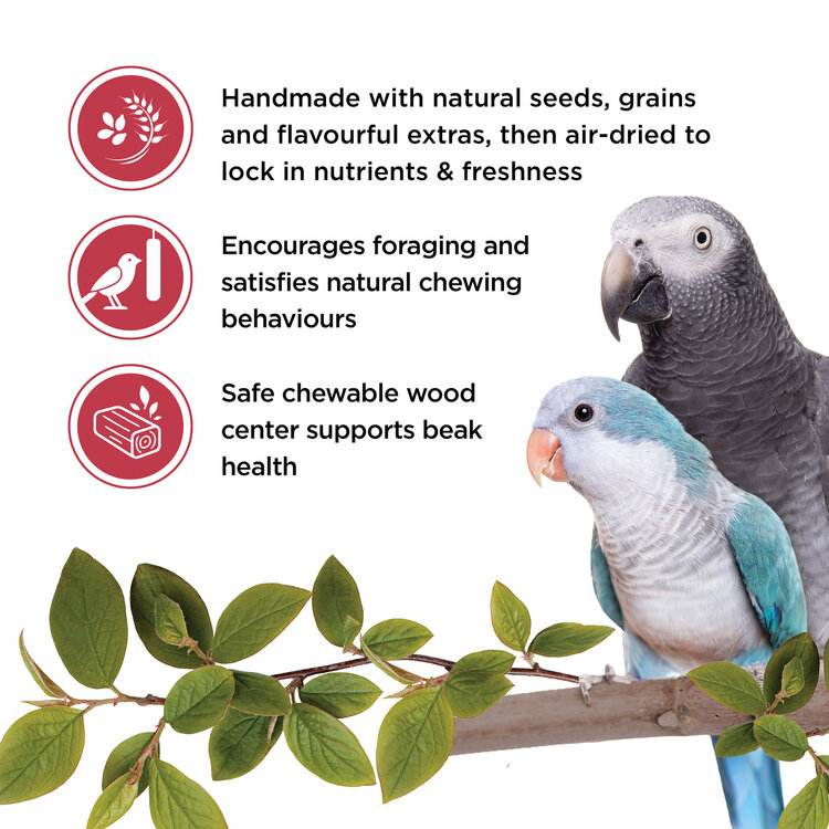 Living World LIVING WORLD PARROT TREAT STICKS – FRUIT – 100 G