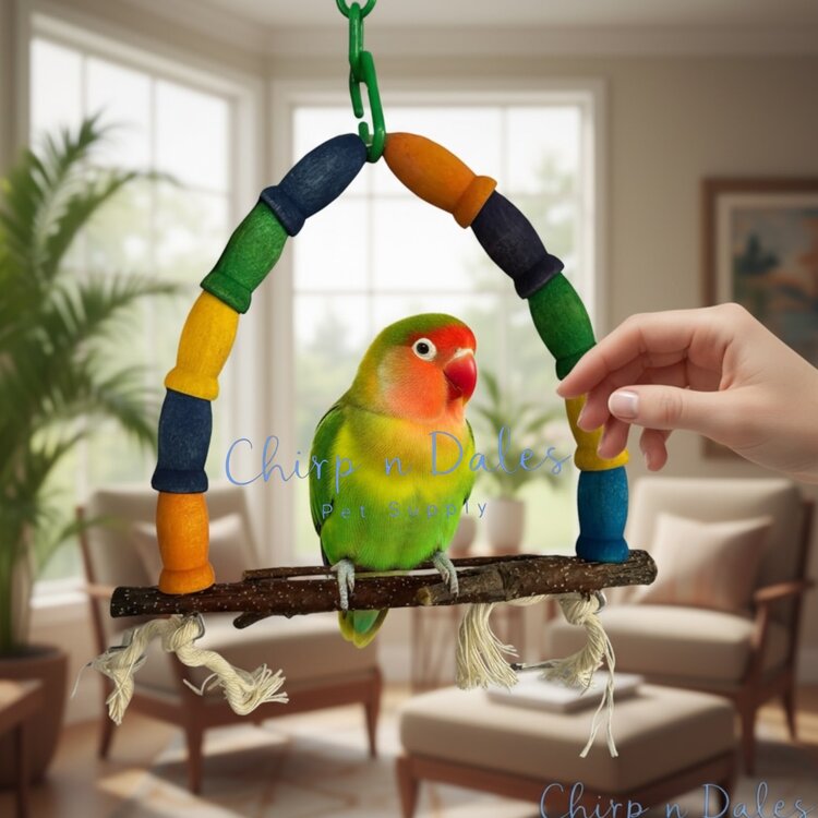 Beak Joy Parrot Toys TINY NATURAL WOOD PARROT SWING – HANDMADE IN CANADA – FOR SMALL PARROTS