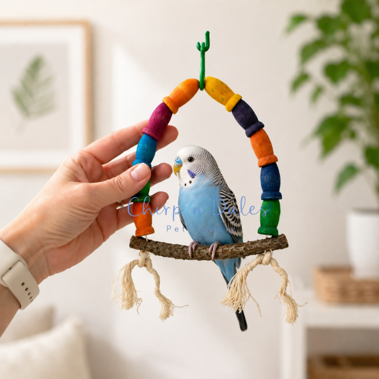 Beak Joy Parrot Toys TINY NATURAL WOOD PARROT SWING – HANDMADE IN CANADA – FOR SMALL PARROTS