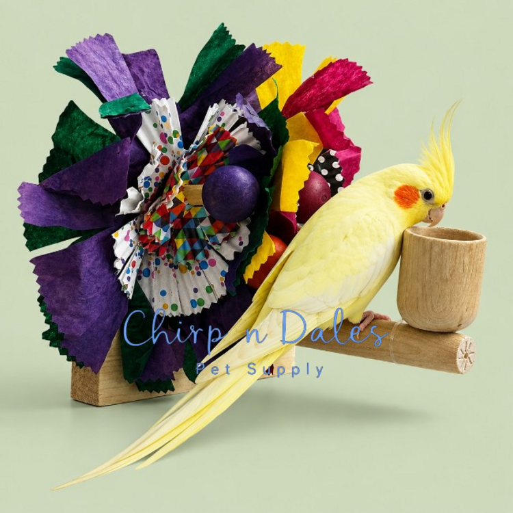 Beak Joy Parrot Toys HAWAIIAN CAGE MOUNT PARROT TOY – SMALL – HANDMADE IN CANADA