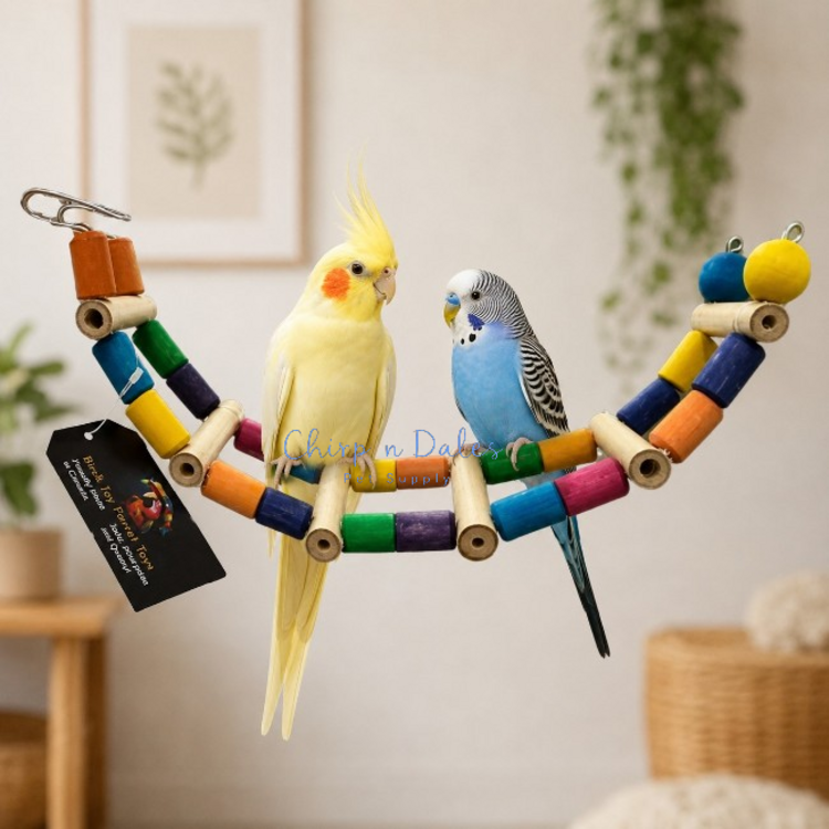 Beak Joy Parrot Toys SMALL ARC LADDER FOR SMALL PARROTS 20" X 5"