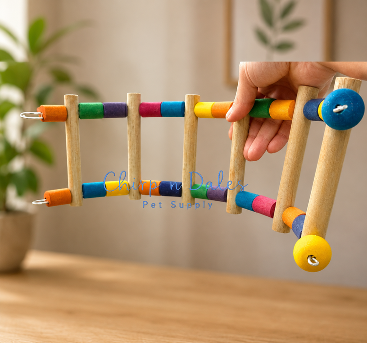 Beak Joy Parrot Toys SMALL ARC LADDER FOR SMALL PARROTS 20" X 5"