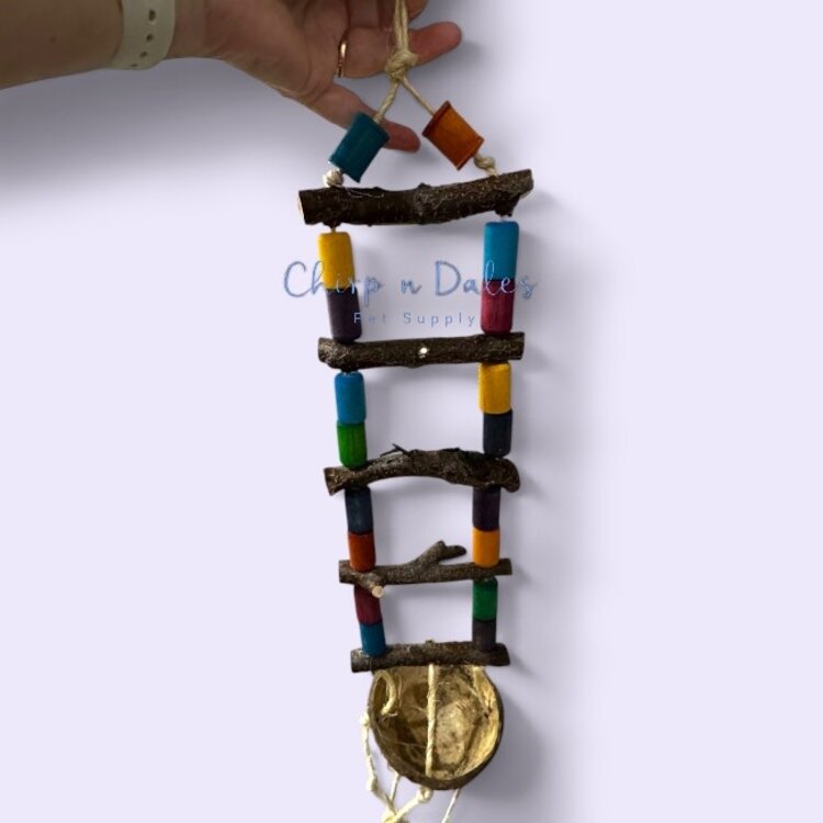 Beak Joy Parrot Toys Beak Joy Half Coco Ladder Parrot Toy 25" x 5"