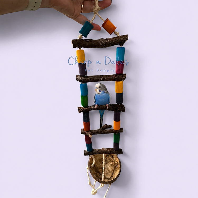 Beak Joy Parrot Toys Beak Joy Half Coco Ladder Parrot Toy 25" x 5"