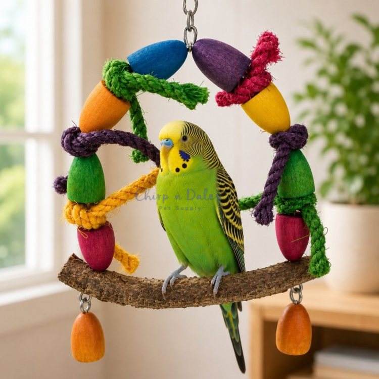 Beak Joy Parrot Toys MINI PARROT SWING WITH NATURAL PERCH – HANDMADE IN CANADA – 5" X 8"
