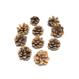 Jolly Jungle NATURAL PINE CONE FOR PARROTS – APPROX. 3"