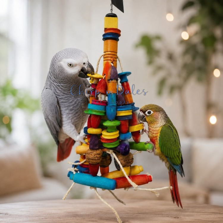 Beak Joy Parrot Toys FIND WALNUT LARGE FORAGING TOY FOR PARROTS - HANDMADE IN CANADA