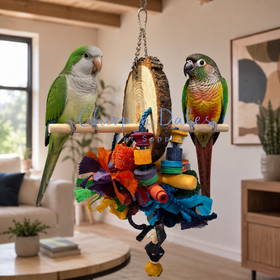 Beak Joy Parrot Toys DREAM CATCHER PARROT TOY WITH PERCH 15" x 6"