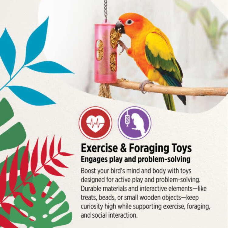 Hari HARI ACTIVE.PLAY PECK PUZZLER INTERACTIVE FORAGING & EXERCISE TOY FOR SMALL & MEDIUM PARROTS