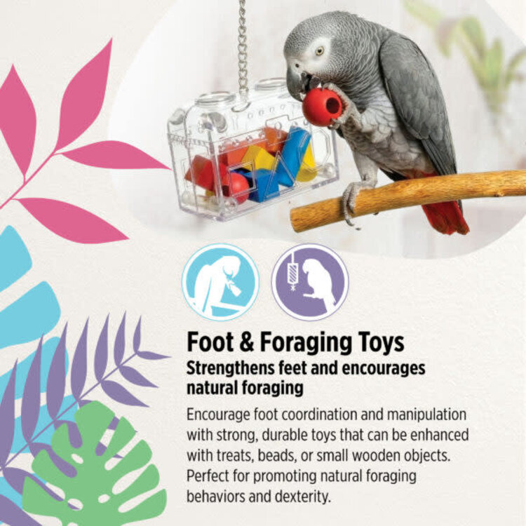 Hari HARI ACTIVE.PLAY PIRATE’S TREASURE INTERACTIVE FOOT & FORAGING TOY FOR SMALL & MEDIUM PARROTS