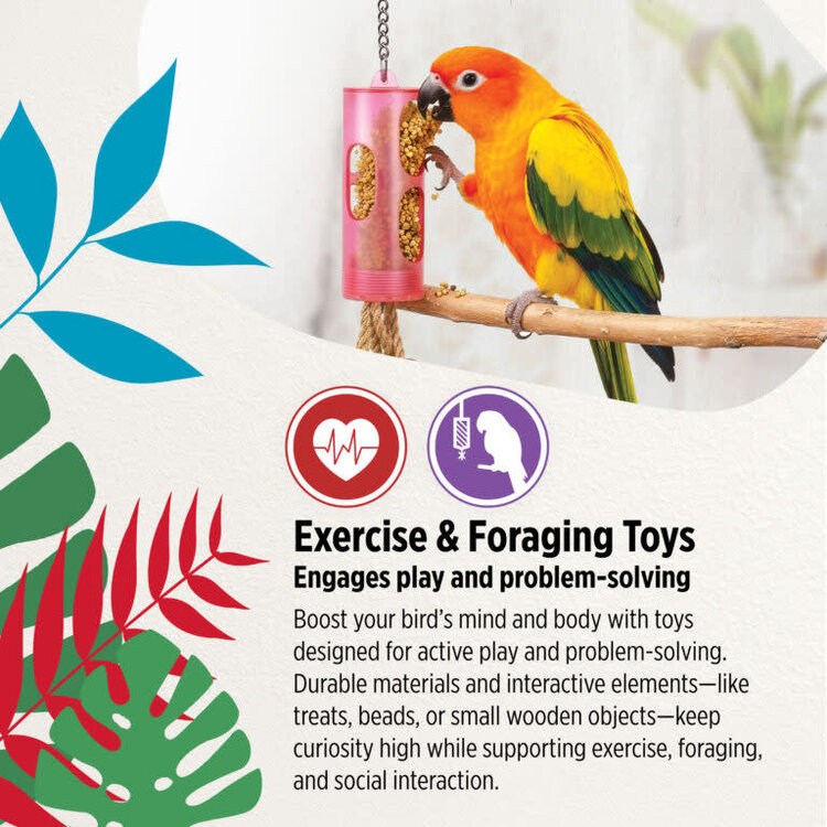 Hari HARI ACTIVE.PLAY WHIRL-A-TREAT – SMALL INTERACTIVE FORAGING PARROT TOY