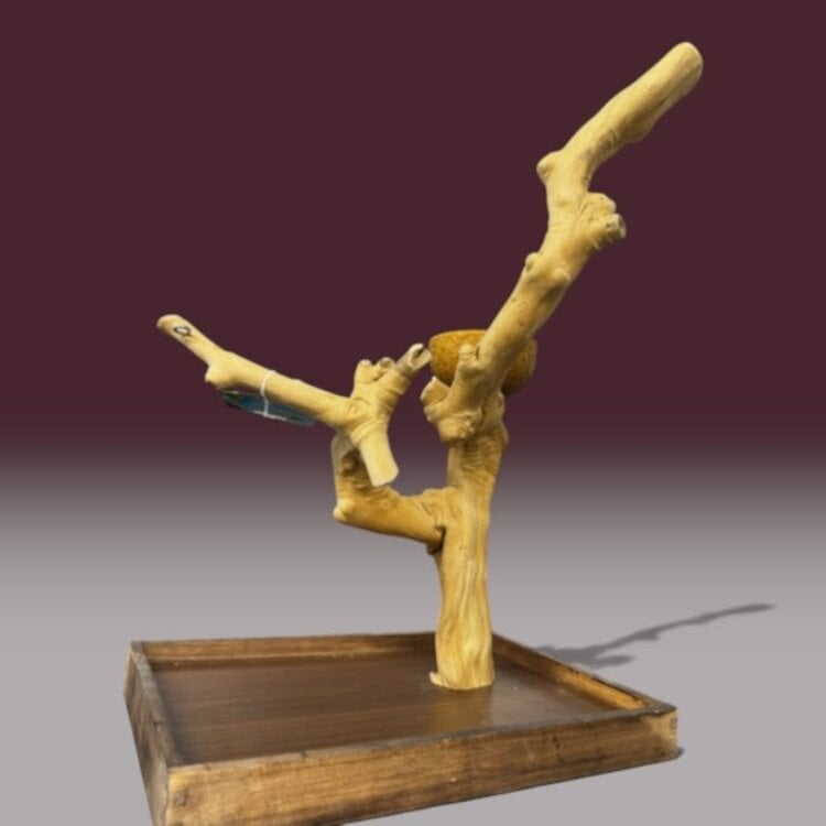Jolly Jungle JOLLY JUNGLE  TABLE TOP JAVA TREE (1158S-005)