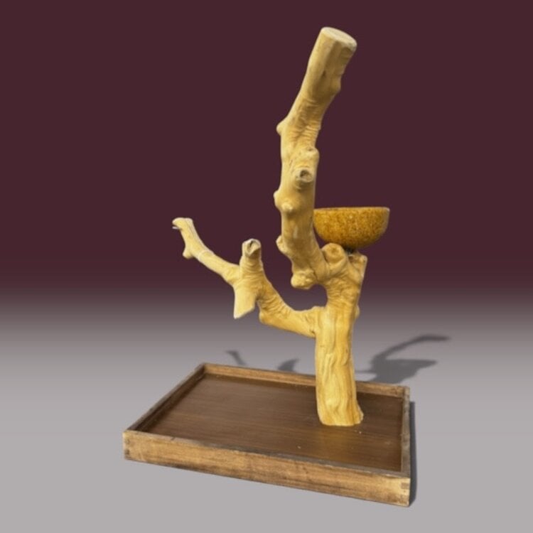 Jolly Jungle JOLLY JUNGLE  TABLE TOP JAVA TREE (1158S-005)