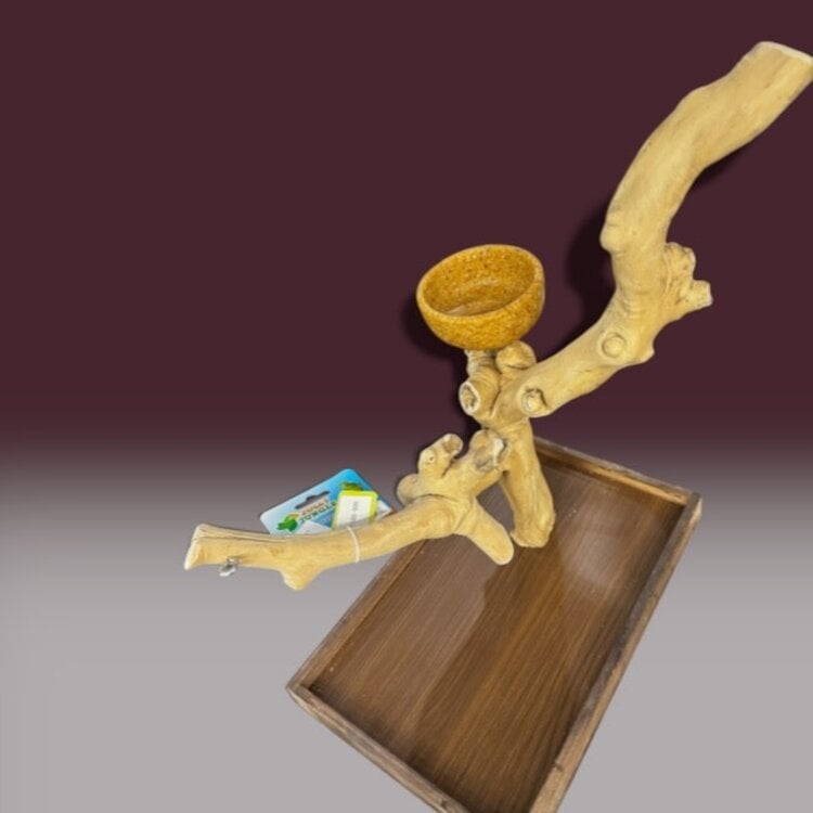 Jolly Jungle JOLLY JUNGLE  TABLE TOP JAVA TREE (1158S-005)