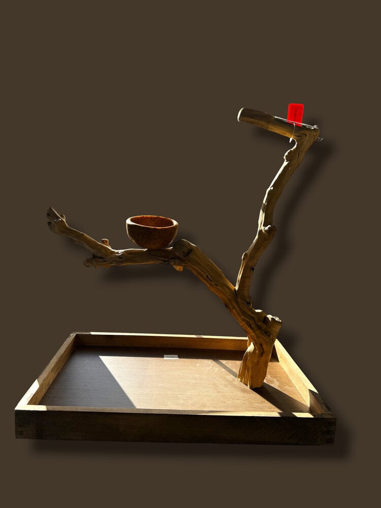 Jolly Jungle JOLLY JUNGLE  TABLE TOP JAVA TREE (1158M-022)