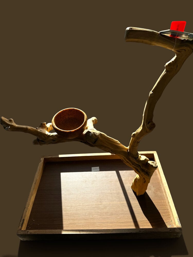 Jolly Jungle JOLLY JUNGLE  TABLE TOP JAVA TREE (1158M-022)
