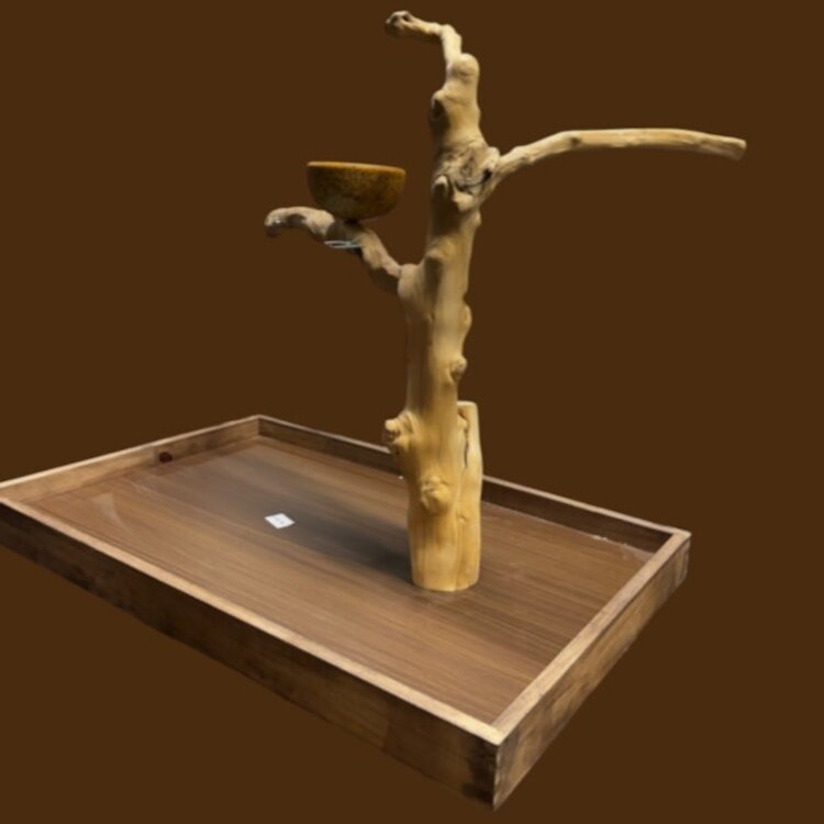 Jolly Jungle JOLLY JUNGLE  TABLE TOP JAVA TREE (1158L-005)