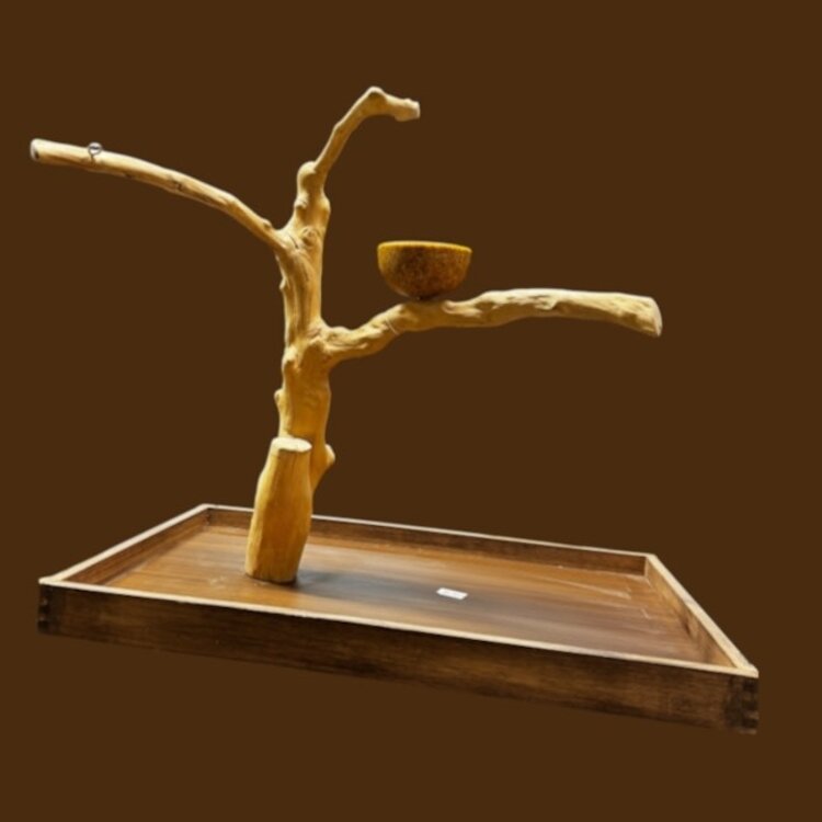 Jolly Jungle JOLLY JUNGLE  TABLE TOP JAVA TREE (1158L-005)