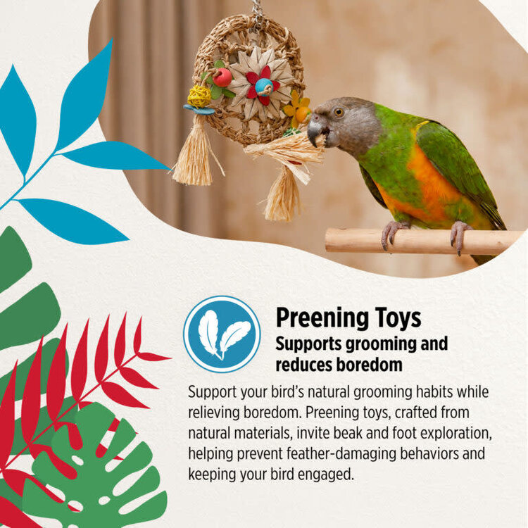 Hari HARI SMART.PLAY DREAMWEAVER – PREENING & EXERCISE PARROT TOY FOR SMALL & MEDIUM BIRDS